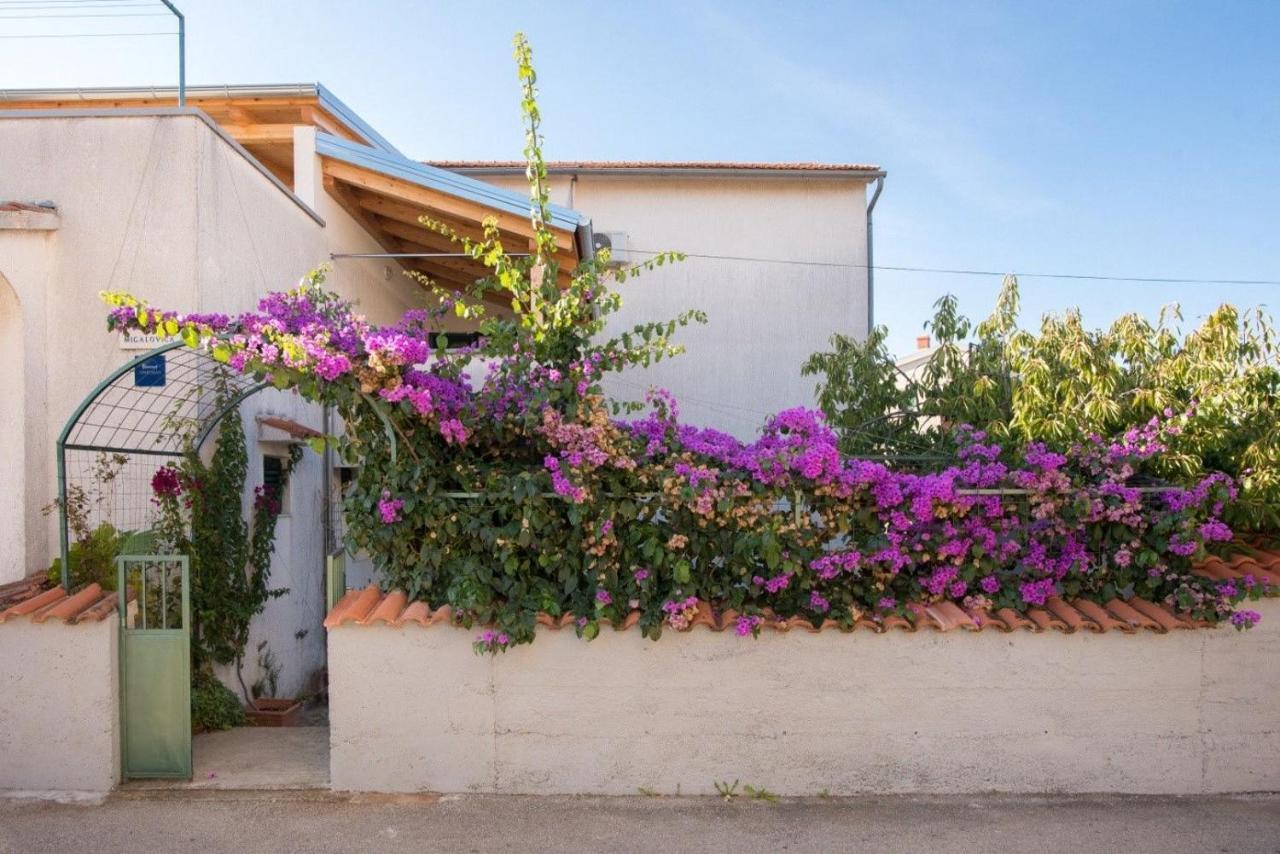 Apartments Anita Summer Vodice Bagian luar foto